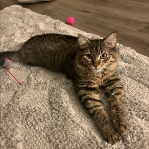 Meet your Posher, Adrienne